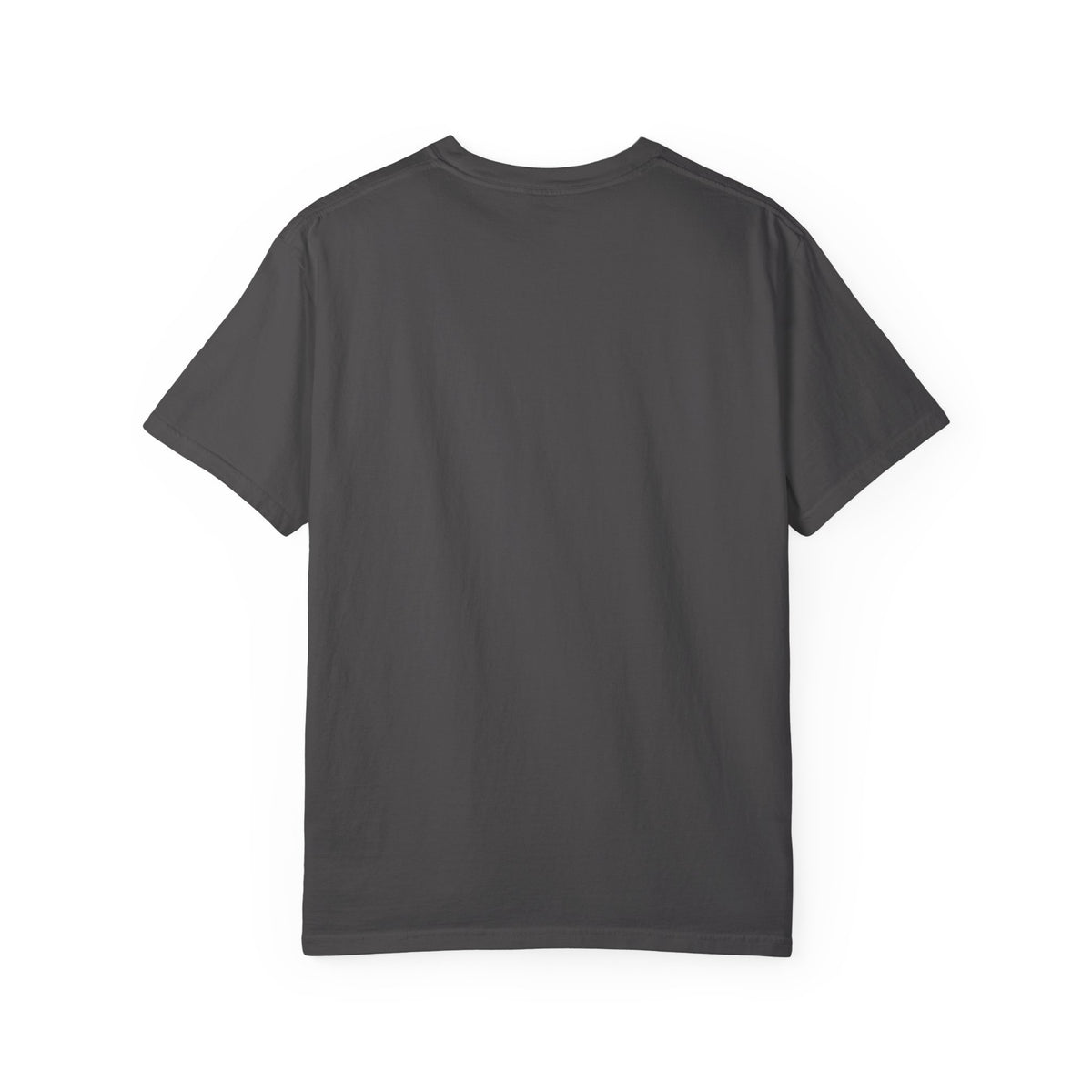 Raccoon Pilot tee