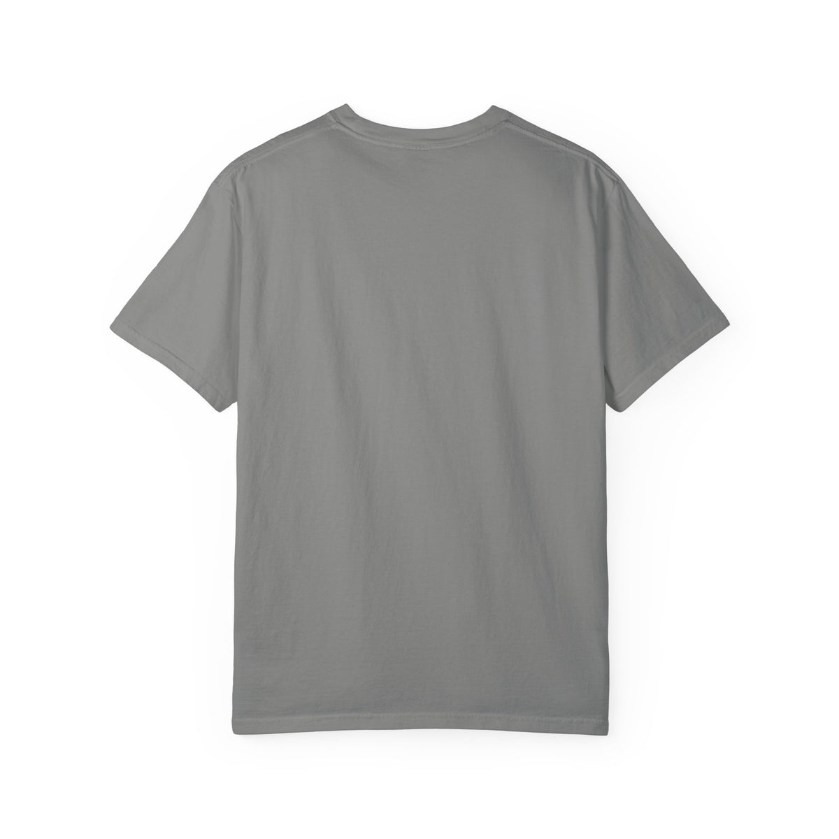Raccoon Pilot tee