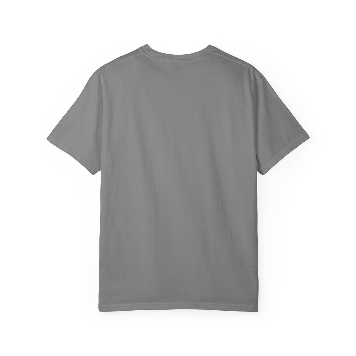 Raccoon Pilot tee